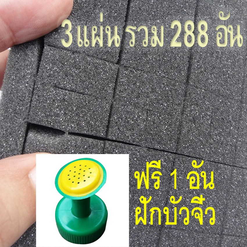 My Image 26