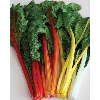 เมล็ด สวิสชาร์ตสีส้ม - Orange Swiss chard