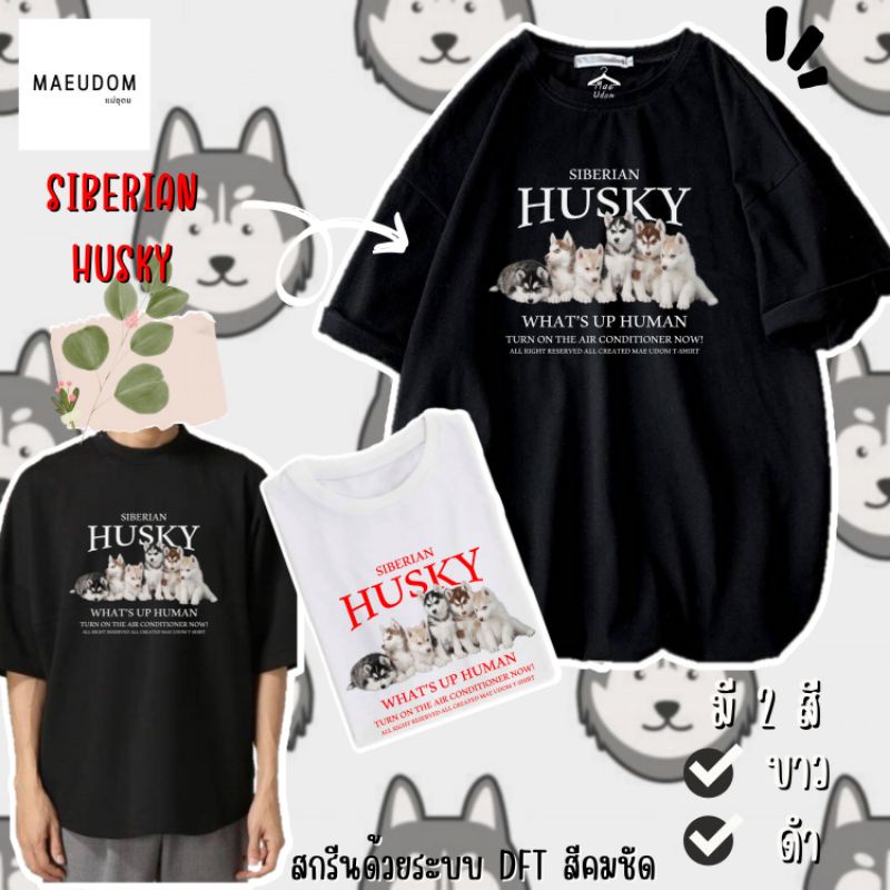 ซื้อ 5 ฟรี 1 กระเป๋าผ้า เสื้อยืด FRENCHIE ผ้า Cotton 100% และ เนื้อผ้า Signature เฉพาะแบรนด์ MAE UDOM