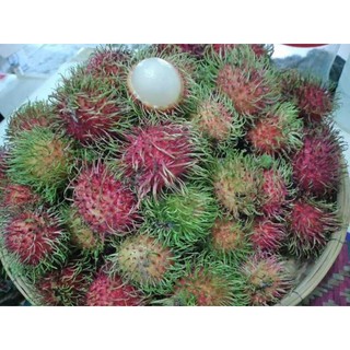 เงาะสวยสดจากยะลา ทำกล่อง3โล 250฿