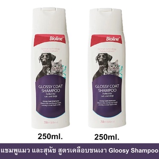 แชมพูสุนัข แชมพูแมว Bioline สูตรเคลือบขนเงา 250มล. (2ขวด) Bioline Glossy Coat Shampoo for Cat and Dog Shampoo 250ml.2pc