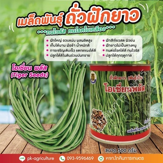 เมล็ดพันธุ์ถั่วฝักยาวโอเชี่ยน พลัส (Tiger Seeds) ขนาด 500 กรัม