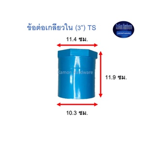 ข้อต่อเกลียวใน ท่อน้ำไทย (3”) Thai Pipe TS Faucet Socket ฟ้า 3