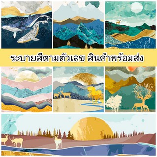 ภาพระบายสีตามตัวเลข ขนาด 40×50 ซม. ขึงเฟรมไม้พร้อมอุปกรณ์