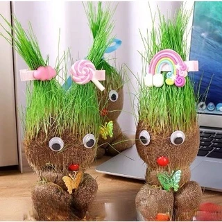 หญ้าแมว ตุ๊กตาหัวหญ้า ตุ๊กตาหญ้า grass head DIY กระถางสร้างสรรค์ ของขวัญ