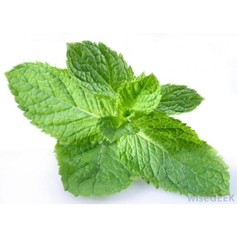 Bioline ยาสีฟันสำหรับสุนัข ยาสีฟันแมว ยาสีฟันสุนัข แปรงสีฟันสุนัข แปรงสีฟันแมว Bioline กลิ่นเปปเปอร์มิ้นท์ ขนาด 100 g. - รูปที่ 6