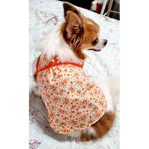เสื้อสุนัข แขนกุดสีสดใส ใส่แล้วน่ารัก สุนัขมีพุง รอบอก 32-60 ซม.