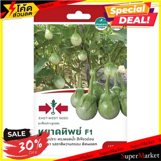 มะเขือเปราะ F1 หยาดทิพย์ ศรแดง เมล็ดพันธุ์ GREEN BRINJAL SEED EAST-WEST SEED YHADTHIP F1 ต้นไม้และเมล็ดพันธุ์