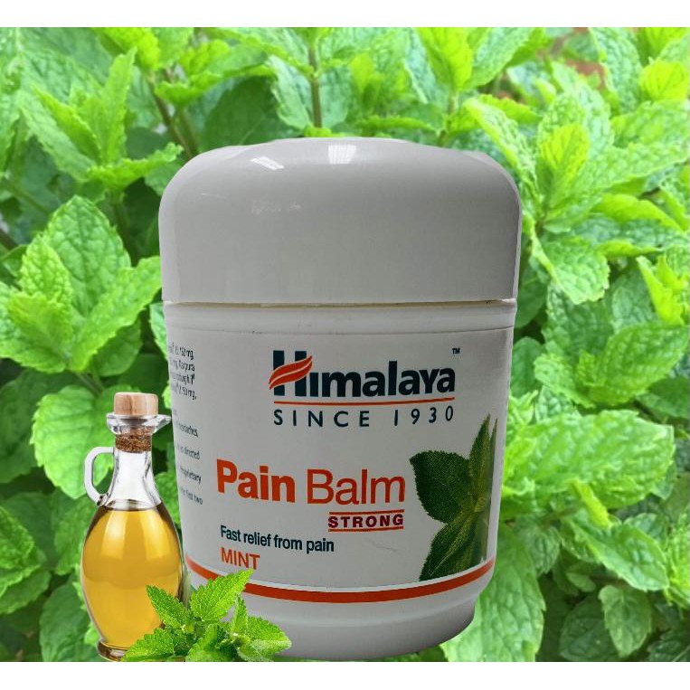 Himalaya Pain Balm (45g)