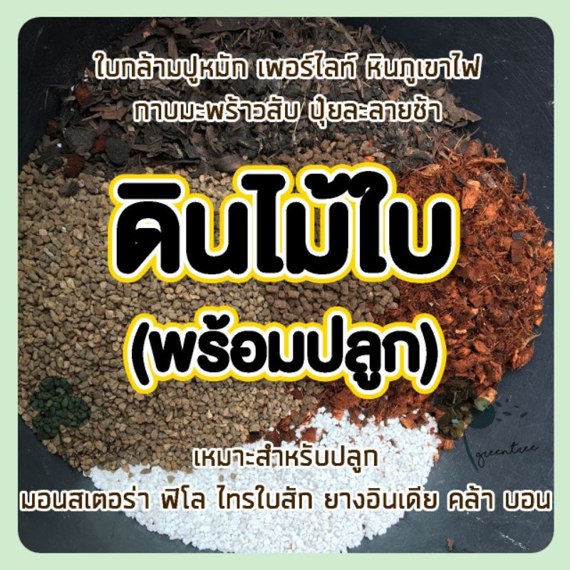 ดิน ดินพร้อมปลูก ดินสำหรับปลูกไม้ใบ ดินปลูกมอนสเตล่า พิโล คล้า บอน ยางอินเดีย ไืทรใบสัก ปริมาณ 4 L