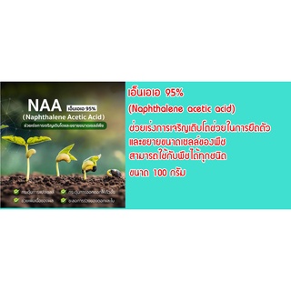 🔥[100 กรัม]NAA 95%  เร่งการเจริญเติบโตช่วยในการยืดตัว และขยายขนาดเซลล์ของพืช  สามารถใช้กับพืชได้ทุกชนิด🔥