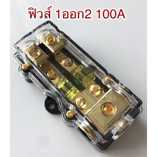 ฟิวส์ 1 ออก2 ขนาด 100 แอมป์