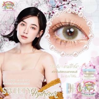 +  ลาย Sweety Hydrocor (สีน้ำตาล/เทา) + คอนแทคเลนส์ Sweety plus