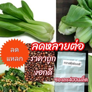 เมล็ดผักสวนครัว กวางตุ้งฮ่องเต้400เมล็ด พันธุ์ดี งอกดีมาก พร้อมส่ง