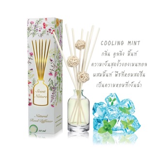 น้ำหอมไม้ปักอโรม่า กลิ่น cooling mint : scent nature