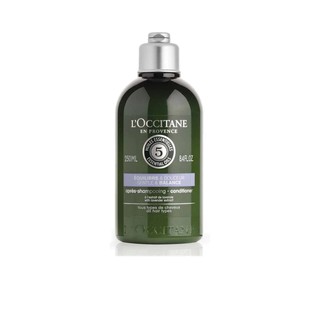 L’OCCITANE en Provence ครีมนวดผม Gentle &amp; Balance Conditioner ขนาด 250 มล. แชมพู ครีมนวดผม ผลิตภัณฑ์ดูแลเส้นผม ผลิตภัณฑ์