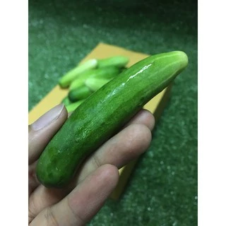 แตงกวาสด 🥒- ผักผลไม้สด
