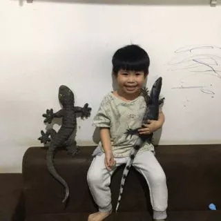 🦎ตุ๊กแกปลอม ขนาดใหญ่เท่าแขน(23นิ้ว)/ตัวเฮ้ยยาว28นิ้ว/ จระเข้22นิ้ว