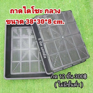 ถาดไดโซะ กลาง // กด 12 ใบ 300 บาท --- ถาดเพาะเมล็ด ถาดเพาะต้นอ่อน 38x30X8 cm เพาะ แคคตัส กระบองเพชร