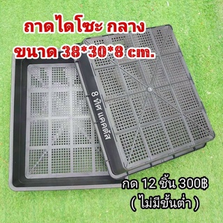 ถาดไดโซะ กลาง // กด 12 ใบ 300 บาท --- ถาดเพาะเมล็ด ถาดเพาะต้นอ่อน 38x30X8 cm เพาะ แคคตัส กระบองเพชร