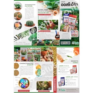 ออสโมโค้ท สูตร 13-13-13 (Osmocote 13-13-13) 1 kg ใส่เพียงครั้งเดียว พืชได้รับปุ๋ยต่อเนื่องนาน 3 เดือน