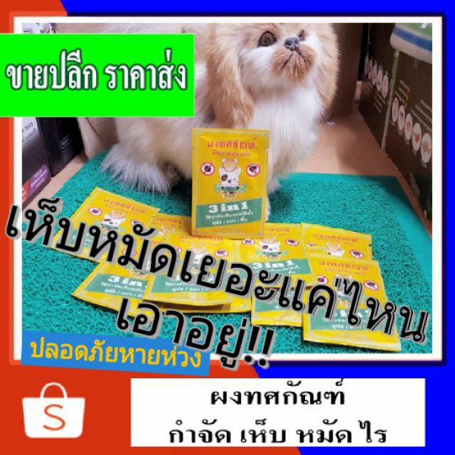 ผงทศกัณฑ์ ราดพื้นเห็บหมัดไรบนตัวสุนัขแมวเห็นผลชัวร์ !! สารสกัดจากตะไคร้ปลอดภัยไล่เห็บหมัดไรขี้เลื้อน