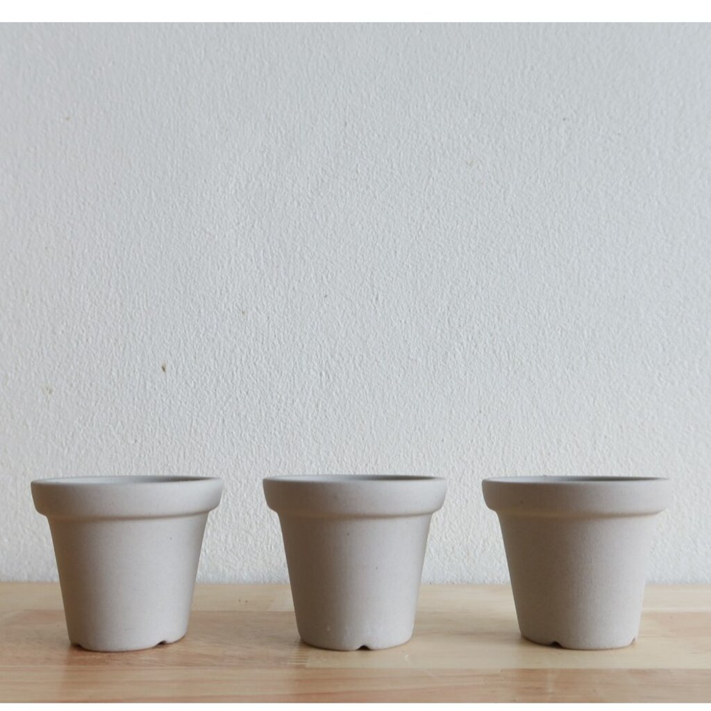 มุมมอง 3