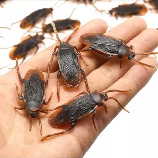แมลงสาบปลอม ของเล่น เหมือนจริงที่สุด แกล้งคน เล่นกับแมว โมเดลสัตว์ Cockroach