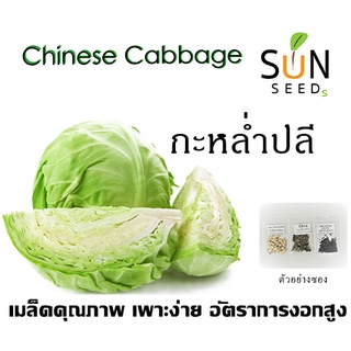 เมล็ดกะหล่ำปลี  10 บาท 300 เมล็ด เพาะง่าย อัตราการงอกสูง  (ผัก ผักสวนครัว เมล็ดผัก เมล็ดพันธุ์ผัก ผักอินทรีย์  )