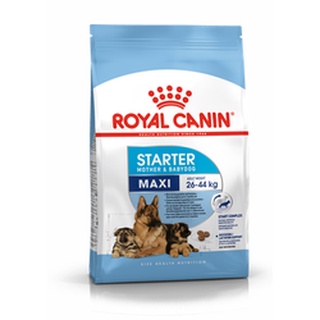 Royal canin Maxi Starter 1 kg อาหารแม่สุนัข และลูกสุนัขพันธุ์ใหญ่ ชนิดเม็ด (MAXI STARTER)