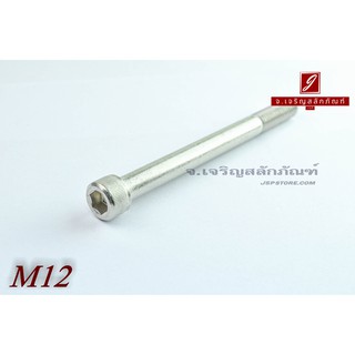 น็อตหัวจมสแตนเลส M12x140