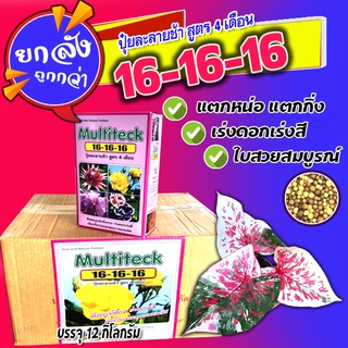 สินค้ายกลัง ปุ๋ยละลายช้า ของแท้บรรจุ 12 กิโล สูตรเสมอ 16-16-16   lสูตร 4เดือน มัลติเทค