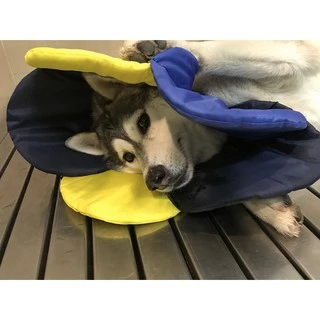 PETSIDE Soft Collar Flower Cone