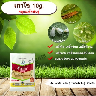 เกาโช 10g. อิมิดาคลอพริด คลุกเมล็ดพันธุ์ สารกำจัดแมลง คลุกเมล็ดก่อนปลูก แมลงในดิน กำจัดเพลี้ย กำจัดแมลง แมลงในดิน