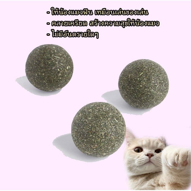 MG-020 กัญชาบอล Catnip Ball แคทนิปบอล ขนมแมว สัตว์เลี้ยง เล่นสนุกเพลิดเพลินกว่าเดิม