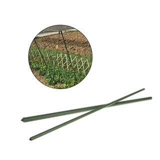 ❤❤60cm Plant Support Stakes Climbing Stand Flower Stick Cane Gardening Tool