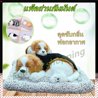 🐶ตุ๊กตาหมา 🐱ตุ๊กตาแมว 🐼ตุ๊กตาหมีแพนด้า ตุ๊กตา🦊จิ้งจอก ตุ๊กตาดูดกลิ่น น่ารักฝุดๆๆๆๆ