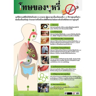 โปสเตอร์เรื่องโทษของการสูบบุหรี่ #EQ-130 โปสเตอร์กระดาษ โปสเตอร์สื่อการเรียนรู้