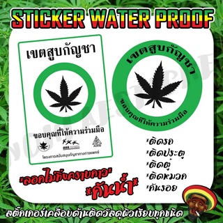 สติ๊กเกอร์ เขตสูบกัญชา SMOOKWEED เนื้อ