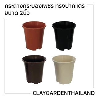 กระถางพลาสติก 2นิ้ว กระถางกระบองเพชร ขนาด 2นิ้ว
