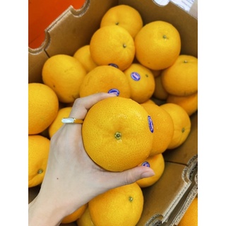 🍊ส้มแมนดาริน ออสเตรเลีย🍊ส้ม Phoenix Mandarin (CITRUS) ขนาด 9 กิโล ส่งฟรี