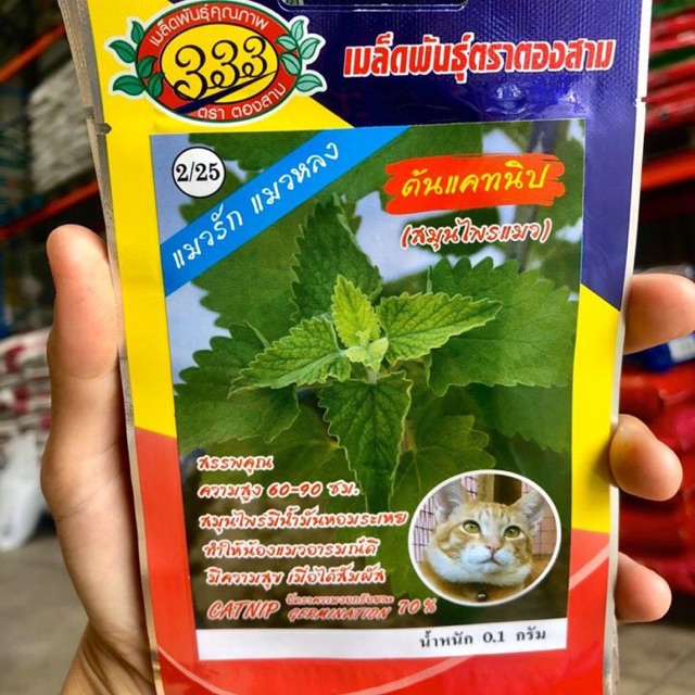 เมล็ดต้นแคทนิป หญ้าแมว หญ้าโอ๊ค หญ้าออชาร์ต สำหรับเหล่าทาสทั้งหลาย