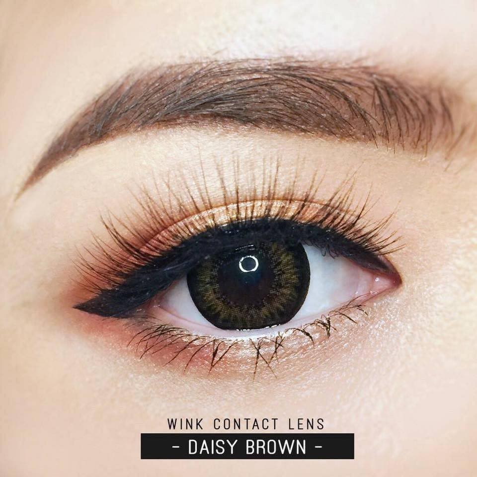 คอนแทคเลนส์🌈Daisy🌈 Chestnut / Gray / Black (Wink) ขนาดบิ๊กอาย💖