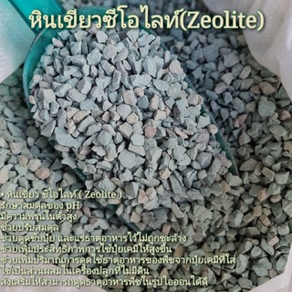 Zeolite ซีโอไลท์ (วัสดุผสมปลูก/กรองบ่อปลา)