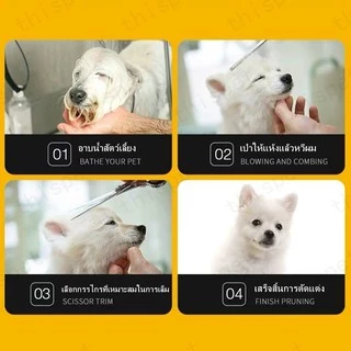 🐶 6/9 ชิ้น กรรไกรตัดขนสุนัข แบตตาเลี่ยนตัดขนส กรรไกรตัดขนแมว ตัดขนหมา ตัดขนสุนัข ตัดขนแมว กรรไกร สุนัข กรรไกรแมว