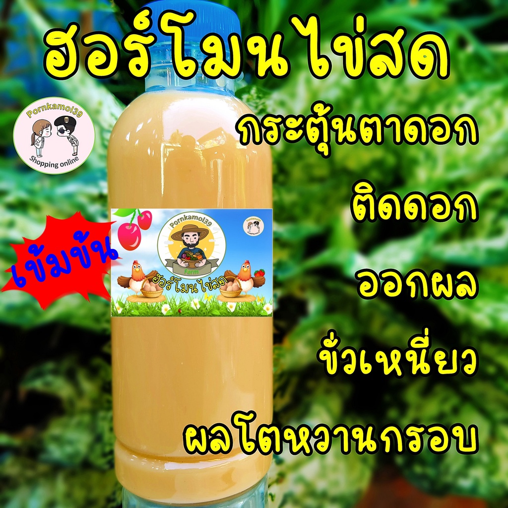 ฮอร์โมนไข่สด เร่งการเจริญเติบโต กระตุ้นตาดอก ติดดอก ออกผล ขั่วเหนียว ผลโต หวานกรอบ(250ml)แถมวิธีใช้