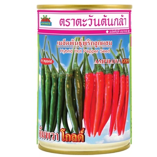 เมล็ดพันธุ์ พริก พริกอัมพวาโกล์ด อัมพวา โกล์ด(20g,50g.) พริกดก สวย ยาว8-10 ซม.💥 หมดอายุ04/2566💥