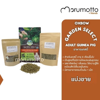 (แบ่งขาย) OXBOW Garden Select Adult Guinea Pig Food อาหารแกสบี้ หนูขวัญ หนูตะเภาโต สูตรอาหารที่เหมือนเพิ่งออกจากสวน