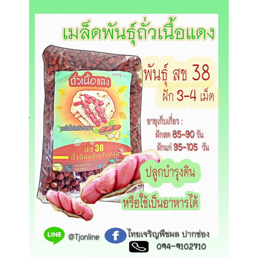 เมล็ดพันธ์ุ ถั่วลิสง เปลือกแดง พันธุ์ สข 38 ฝัก 2 มล็ด สำหรับปลูก ขา่ยเป็นกิโลกรัม

<p>“><center></p>
<h4></h4>
<p><p><font color=