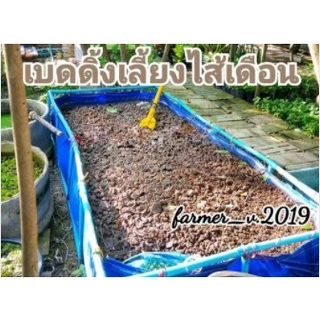 เบดดิ้งสำหรับเลี้ยงไส้เดือน อาหารไส้เดือน เบดดิ้ง (ขี้วัวนมแท้100%) พร้อมใช้ บรรจุถุงละ 4 Kg. พร้อมใช้ทันที
